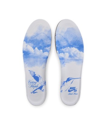 Nike Sb Dunk Low Pro Nicole Hause - White / University Blue - White france