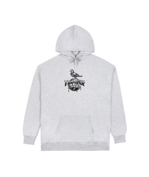 Thrasher X Antihero Cover The Earth Sweat A Capuche - Ash Grey acheter