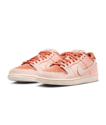 Nike SB Dunk Low Pro Prm Trocadero Garden - Amber Brown / Guava Ice livraison gratuite