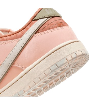 Nike SB Dunk Low Pro Prm Trocadero Garden - Amber Brown / Guava Ice livraison gratuite